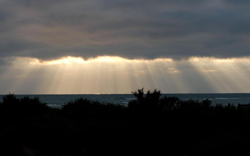 Hotel De La Petite Plage Saint-Georges-d'Oleron Luaran gambar